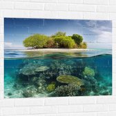 Muursticker - Koraal - Oceaan - Zee - Eiland - 100x75 cm Foto op Muursticker