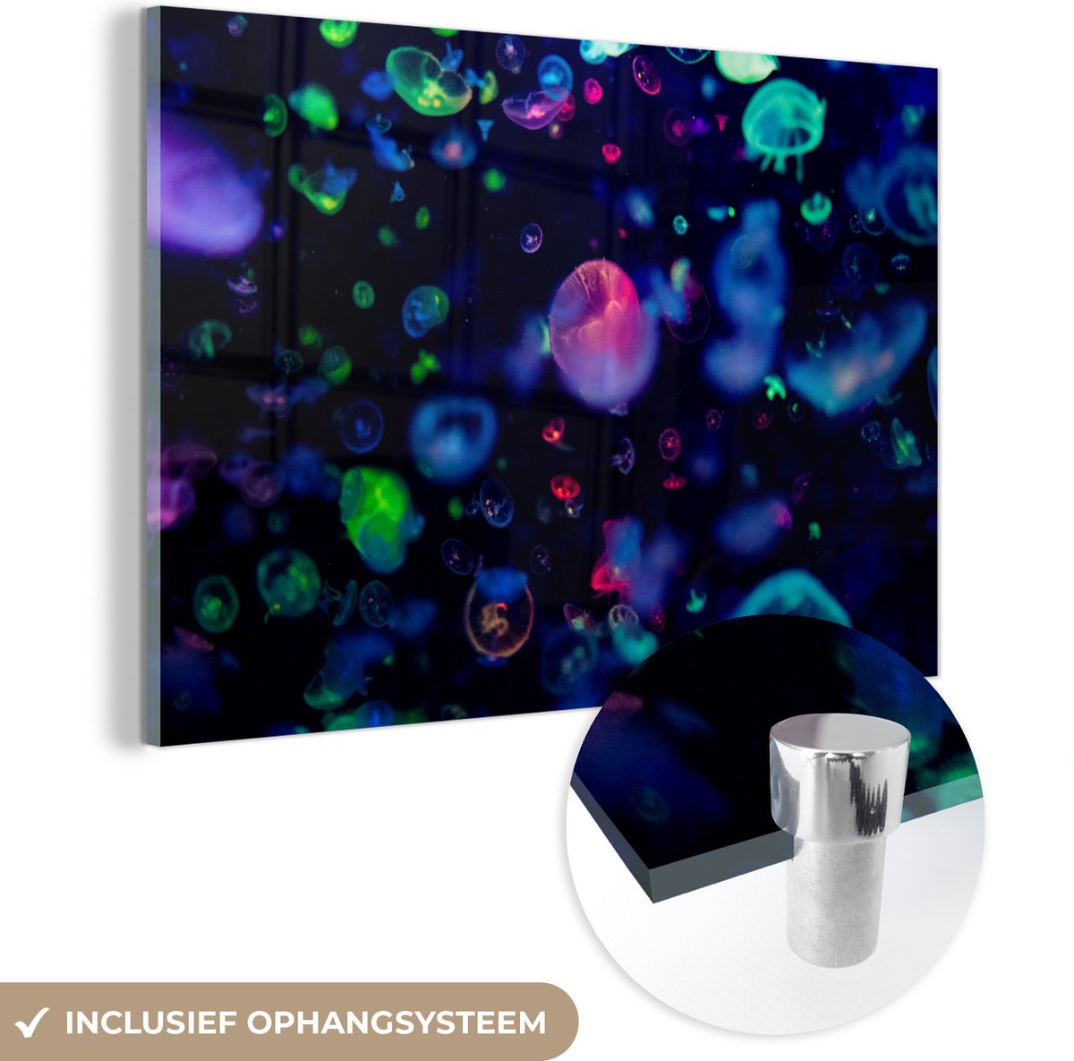 ® Glasschilderij 120x80 cm - Schilderij acrylglas - Kwallen in neonlicht bij een aquarium - Foto op glas - Muurdecoratie woonkamer - Wanddecoratie slaapkamer - Schilderijen