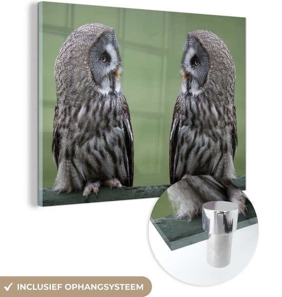 MuchoWow® Glasschilderij 80x60 cm - Schilderij acrylglas - Grote grijze uilen - Foto op glas - Schilderijen