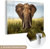 MuchoWow® Glasschilderij 120x80 cm - Schilderij acrylglas - Afrikaanse olifant vooraanzicht - Foto op glas - Schilderijen
