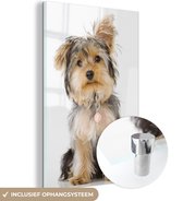 MuchoWow® Glasschilderij 20x30 cm - Schilderij acrylglas - Portret van Yorkshire terrier - Foto op glas - Schilderijen