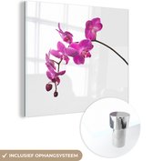 MuchoWow® Glasschilderij 90x90 cm - Schilderij acrylglas - Orchidee tegen witte achtergrond - Foto op glas - Schilderijen