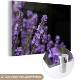 MuchoWow® Glasschilderij 90x60 cm - Schilderij acrylglas - Close-up van paarse lavendel op een zwarte achtergrond - Foto op glas - Schilderijen