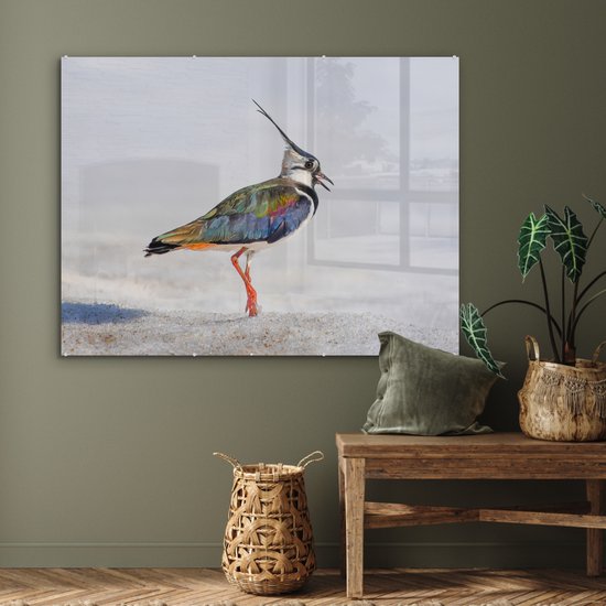Peinture sur verre - Photo sur verre - Vogel - Ressorts - Arc-en-ciel - Sable - 120x90 cm - Verre acrylique - Peinture sur verre oiseaux - Décoration murale - Peinture sur verre nature - Décoration murale animaux