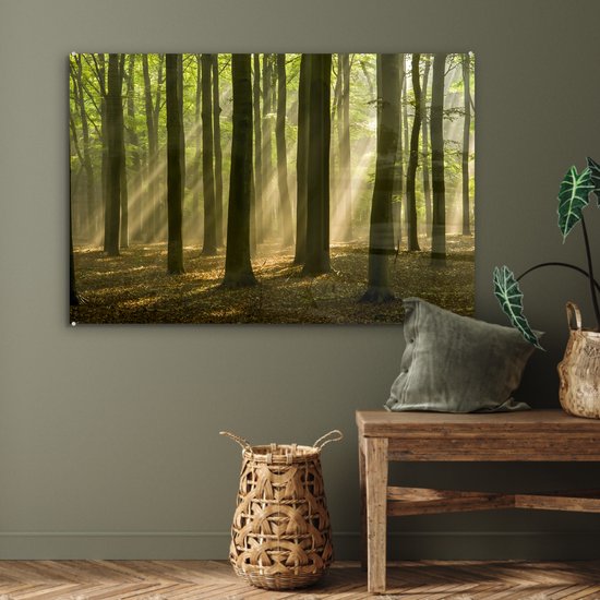 La lumière du soleil d'automne brille sur les vieux arbres Plexiglas 120x80 cm - Tirage photo sur Glas (Décoration murale plexiglas)