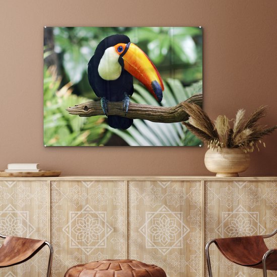 Un toucan regarde vers le bas d'une branche Plexiglas 80x60 cm - Tirage photo sur Glas (décoration murale en plexiglas)