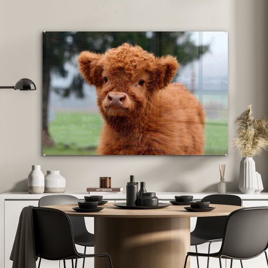 MuchoWow® Peinture sur verre 120x80 cm - Peinture sur verre acrylique - Highlander écossais - Veau - Herbe - Photo sur verre - Peintures