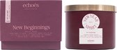 ECHOES LAB New Year Spirit Scented Natural Candle - 600 gr