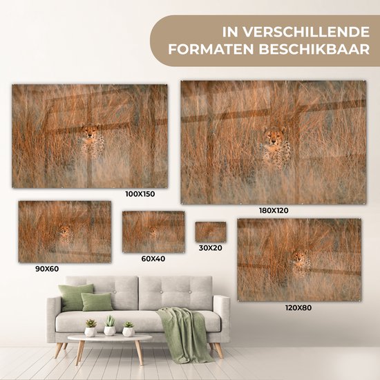 MuchoWow® Peinture sur verre 150x100 cm - Peinture sur verre acrylique - Cheetah - Camouflage - Herbe - Photo sur verre - Peintures