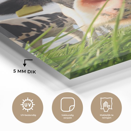 MuchoWow® Peinture sur verre 90x120 cm - Peinture sur verre acrylique - Vache - Ferme - Herbe - Animaux - Photo sur verre - Peintures