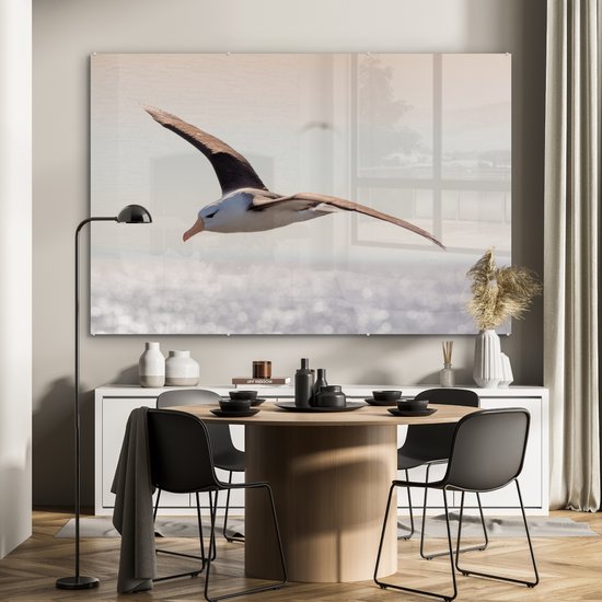 MuchoWow® Peinture sur verre 150x100 cm - Peinture sur verre acrylique - Albatros - Zwart - Vogel - Photo sur verre - Peintures
