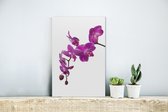 MuchoWow® Glasschilderij 20x30 cm - Schilderij acrylglas - Orchidee tegen witte achtergrond - Foto op glas - Schilderijen