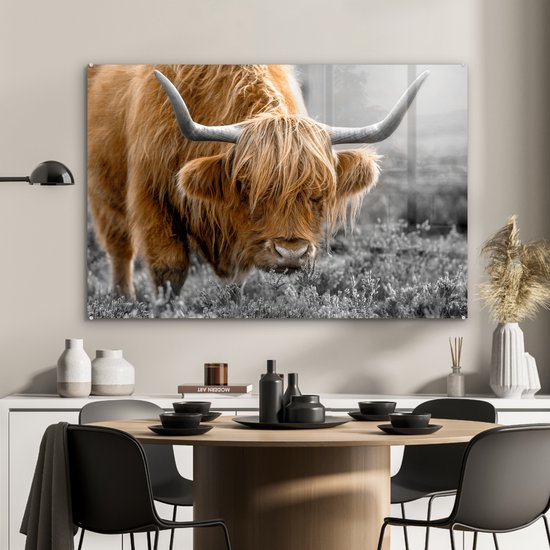 MuchoWow® Peinture sur verre 120x80 cm - Peinture sur verre acrylique - Highlander écossais - Animaux - Marron - Vache - Zwart - Wit - Nature - Photo sur verre - Peintures