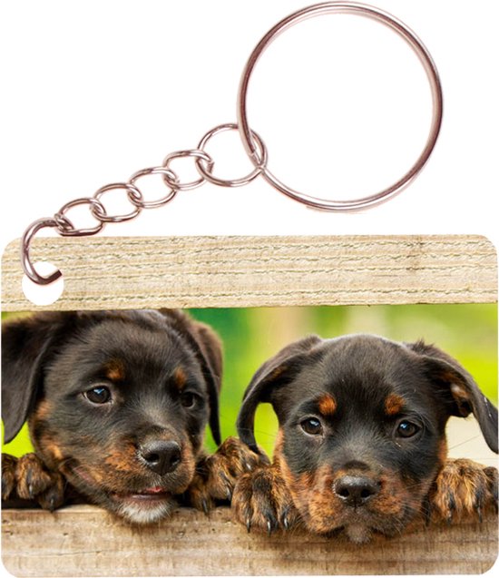 Sleutelhanger 6x4cm - Rottweiler Pups