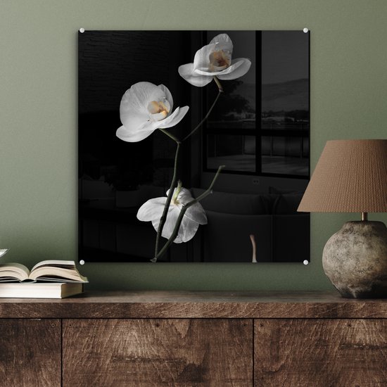 MuchoWow® Peinture sur verre 50x50 cm - Peinture sur verre acrylique - Orchidée - Fleurs - Zwart - Wit - Nature morte - Photo sur verre - Peintures