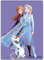 Disney Frozen Plaid - 100 x 140cm - Fleece Deken - Frozen Fleecedeken - Cadeau Meisje 5 Jaar - Cadeau Meisje 3 Jaar - Verjaardagscadeau Meisje - Cadeau Kind