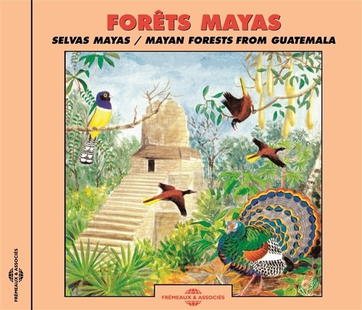 Eloisa Matheu, Jean C. Roché - Mayan Forests - Soundscapes From Guatemala (CD)