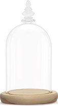 Belle Vous Glazen Stolp Pot met Natuurlijk Houten Basis - 21,5 cm Hoog - Doorzichtig Decoratieve Tafeltop Display Bak met Tray voor Fee Lichten, Kopstukken en Antieke Items