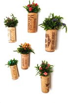 Koelkastmagneten met echte planten | Set van 3 | Duurzaam en groen brievenbuscadeau | Met gratis wenskaart