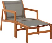 The Living Store Chaise longue Ensemble de chaises de jardin - 60x83,5x77,5 cm - Grijs