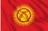 VlagDirect - Kirgizische Republiek vlag - Kirgizië vlag - Kirgistan vlag - 90 x 150 cm