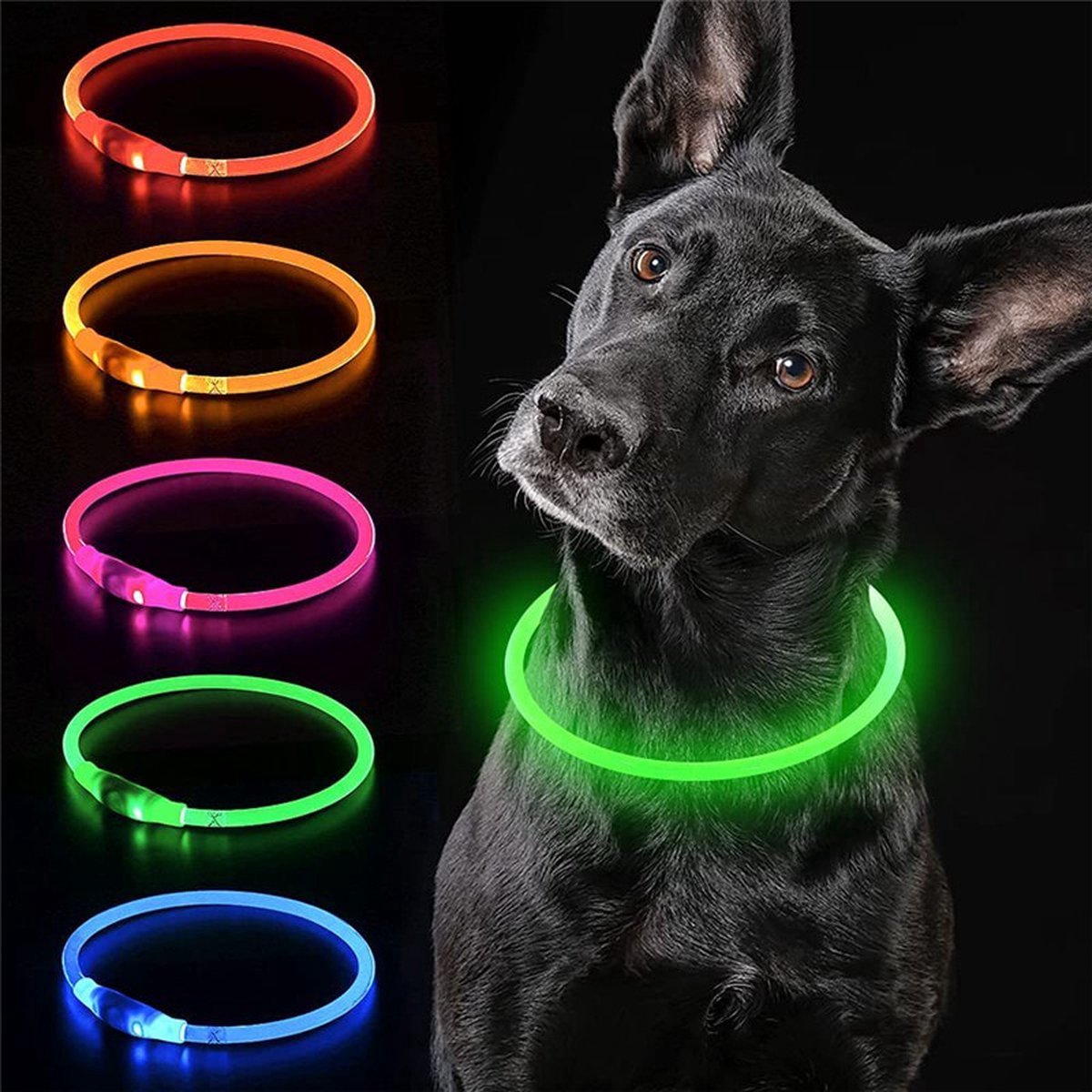 Jn Groene LED Halsband voor honden - Medium size - groen verlichte halsband - 50 cm - Graag nauwkeurig de maat opmeten! - Lichtgevende Halsband Hond - Oplaadbaar via USB - adjustable - verstelbaar - verstelbare halsband USB oplaadbaar - JN