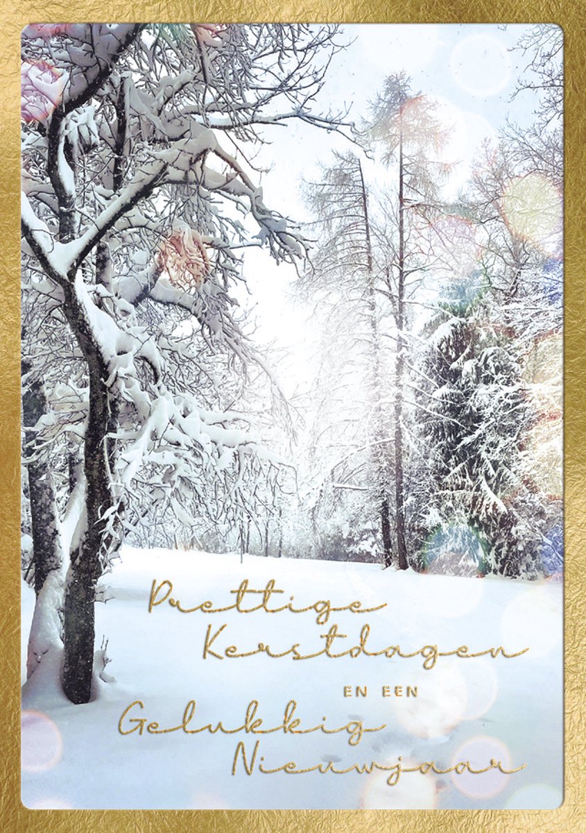 Kaarten - Kerst - Hangpak - Sneeuw in bos - 10st. - HPK.1033