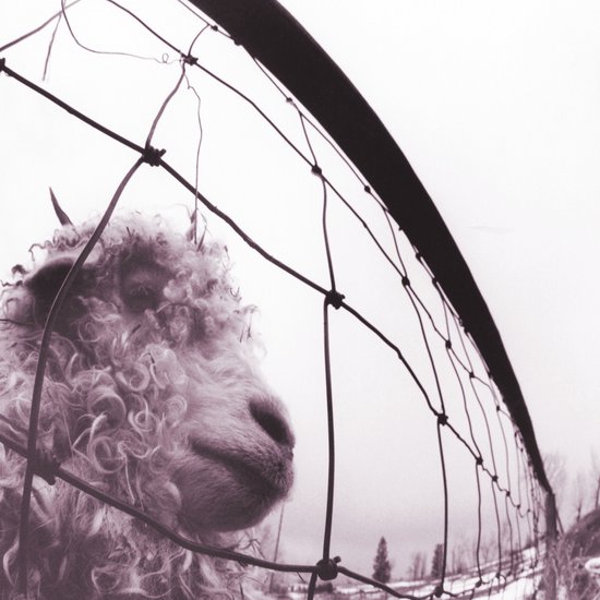 Pearl Jam - Vs. (LP)