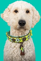 DWAM Dog with a Mission – Halsband Hond – Hondenhalsband – Groen – L – Leer – Halsomvang tussen 38-47 x 4 cm – Ranger