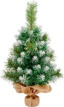 Uten Luxe uitvoering kleine Kunstkerstboom met sneeuw - 60cm hoog - Zonder verlichting - 65Takken - wit/Groen