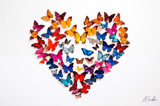 Butterfly Heart - 90cm x 60cm - Fotokunst op Plexiglas | Wanddecoratie Glasschilderij