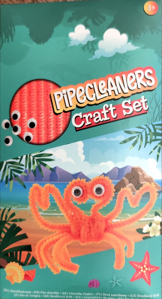 Chenilledraad speelgoed craft set pipecleaners