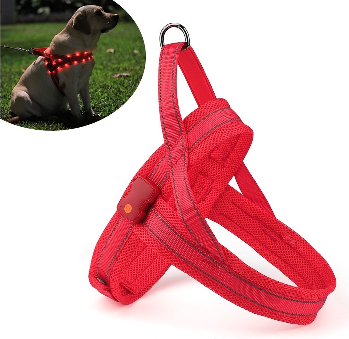 LED Harnais pour chien Harnais pour chat Rechargeable Réfléchissant M