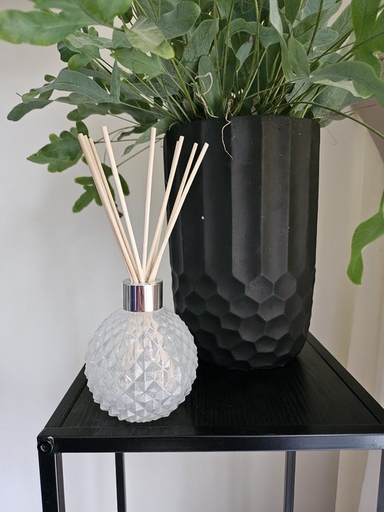 Aroma Decorative Diffuser Bottle & 50 Rattan Reeds | bol