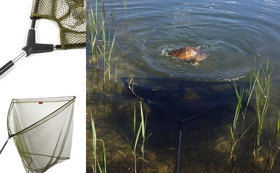 Eurocatch - Carp Landingnet - Karpernet - Schepnet - incl. 2 Delige steel 180cm - 42inch net - Landingsnet - Groen van Eurocatch — afbeelding 4