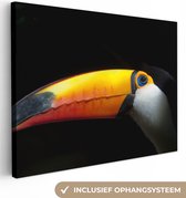 Canvas Schilderij Toekan - Vogel - Snavel - 40x30 cm - Wanddecoratie
