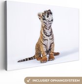 Canvas Schilderij Tijger - Welp - Wit - 30x20 cm - Wanddecoratie