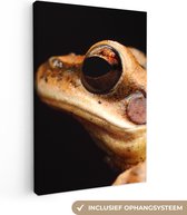 Canvas Schilderij Kikker - Oog - Zwart - 60x90 cm - Wanddecoratie