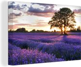 Schilderijen Canvas Bloemen - Lavendel - Paars - Boom - Zonsondergang - Foto op Canvas - Muurdecoratie - 120x80 cm