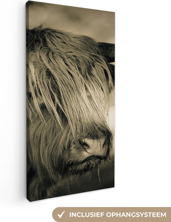 Peinture sur toile Highlander écossais - Animaux - Cheveux - 40x80 cm - Décoration murale