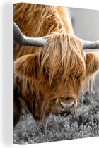 Schotse hooglander - Koe - Planten - Canvas - 30x40 cm - Wanddecoratie