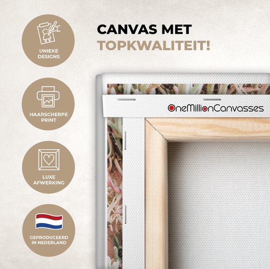 Décoration murale - Highlander écossais - Collage - Cactus - Peinture sur Toile - 140x90 cm