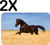 BWK Flexibele Placemat - Gallopperend Paard in het Gras - Set van 2 Placemats - 45x30 cm - PVC Doek - Afneembaar