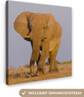 Canvas Schilderij Afrikaanse olifant in het zand - 90x90 cm - Wanddecoratie