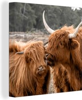 Schotse hooglander - Koe - Dieren - Canvas - 20x20 cm - Wanddecoratie