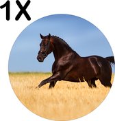 BWK Luxe Ronde Placemat - Gallopperend Paard in het Gras - Set van 1 Placemats - 50x50 cm - 2 mm dik Vinyl - Anti Slip - Afneembaar