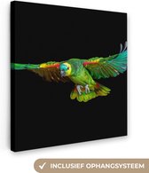 Toile Peinture Perroquet - Vogel - Ressorts - 50x50 cm - Décoration murale