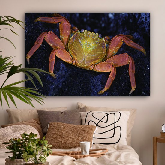Canvas Schilderij Krab - Water - Dieren - 120x80 cm - Wanddecoratie