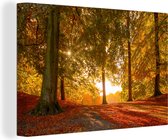 Canvas schilderij 150x100 cm - Wanddecoratie Herfst - Zon - Bos - Muurdecoratie woonkamer - Slaapkamer decoratie - Kamer accessoires - Schilderijen