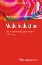 Springer Studium Mathematik (Master)- Modellreduktion